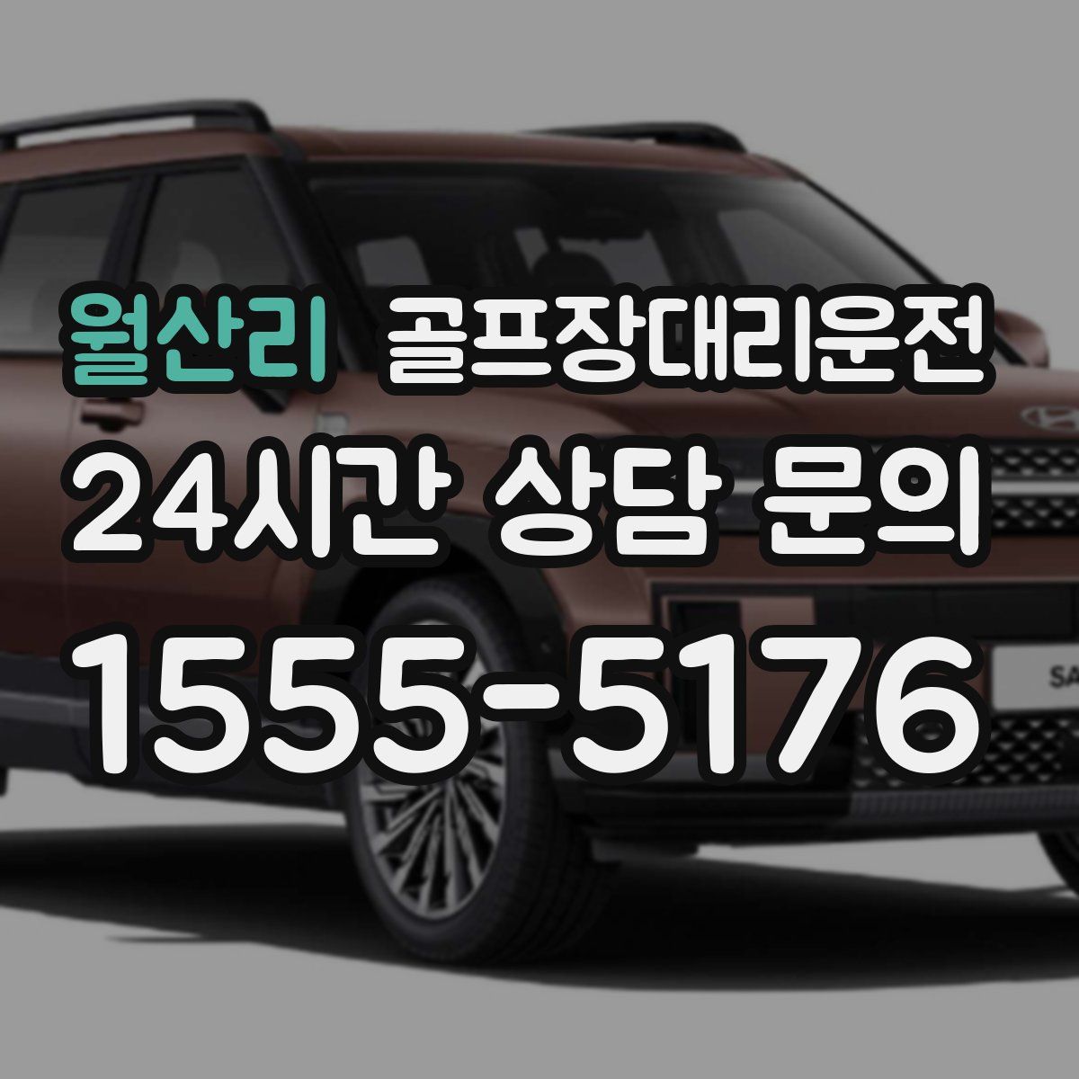 골프장대리운전