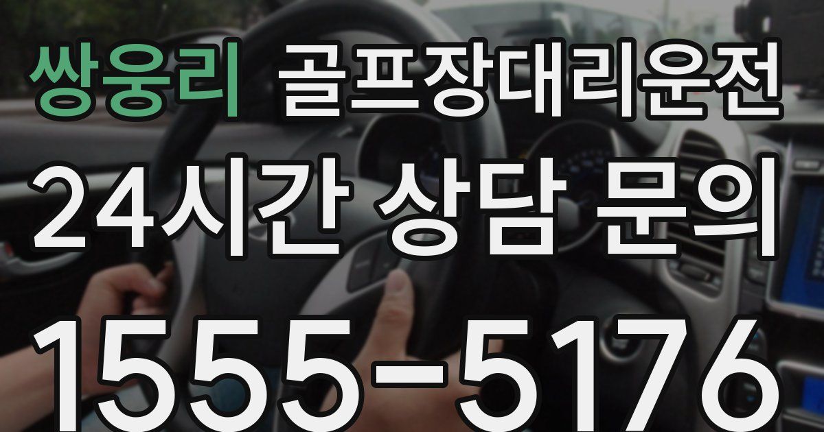 골프장대리운전 서비스