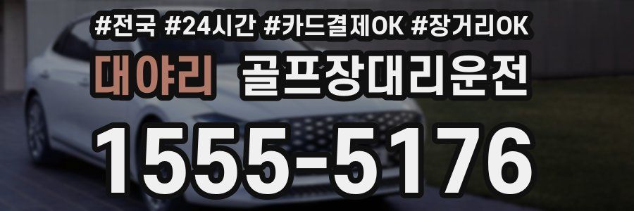 대야리 골프장대리운전