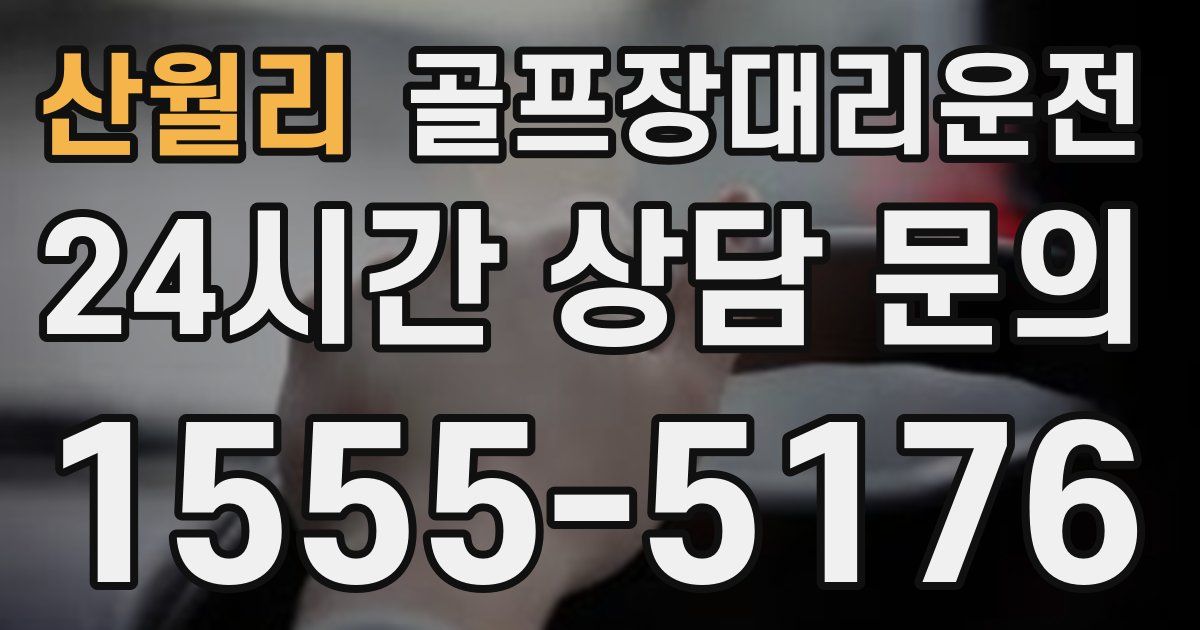 골프장대리운전 서비스