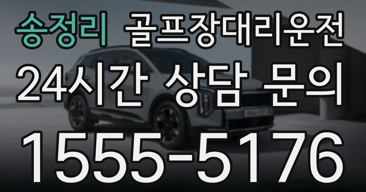 골프장대리운전 서비스