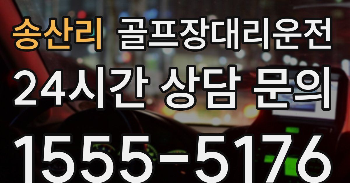골프장대리운전 서비스