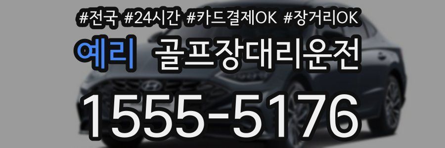 예리 골프장대리운전