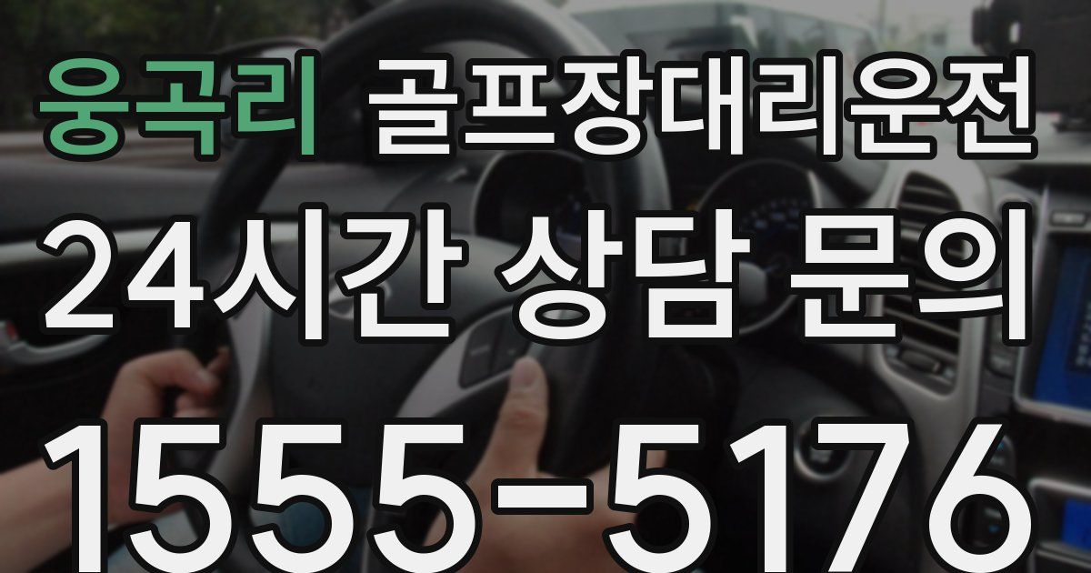 골프장대리운전 서비스