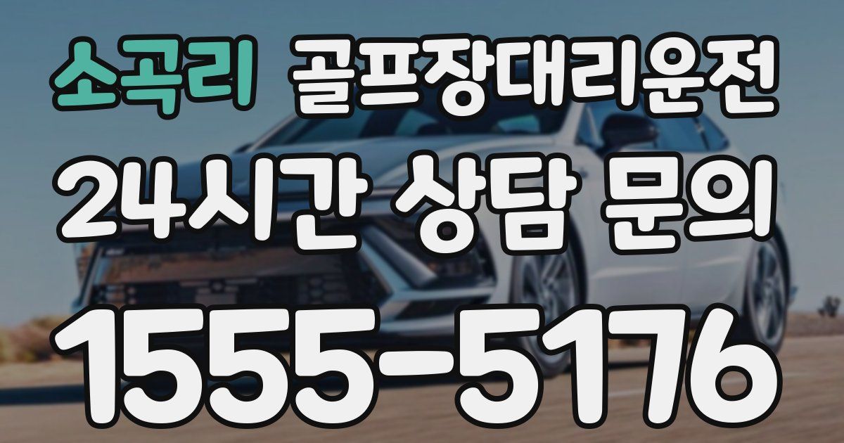 골프장대리운전 서비스