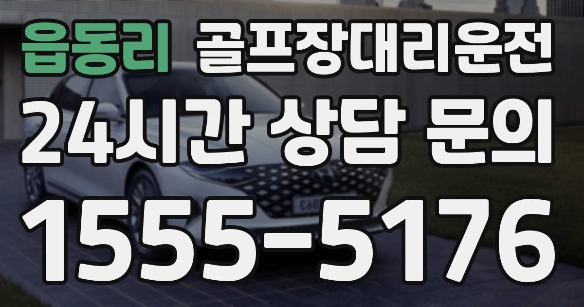 골프장대리운전 서비스