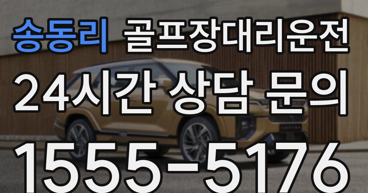 골프장대리운전 서비스