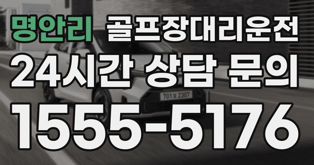 골프장대리운전 서비스