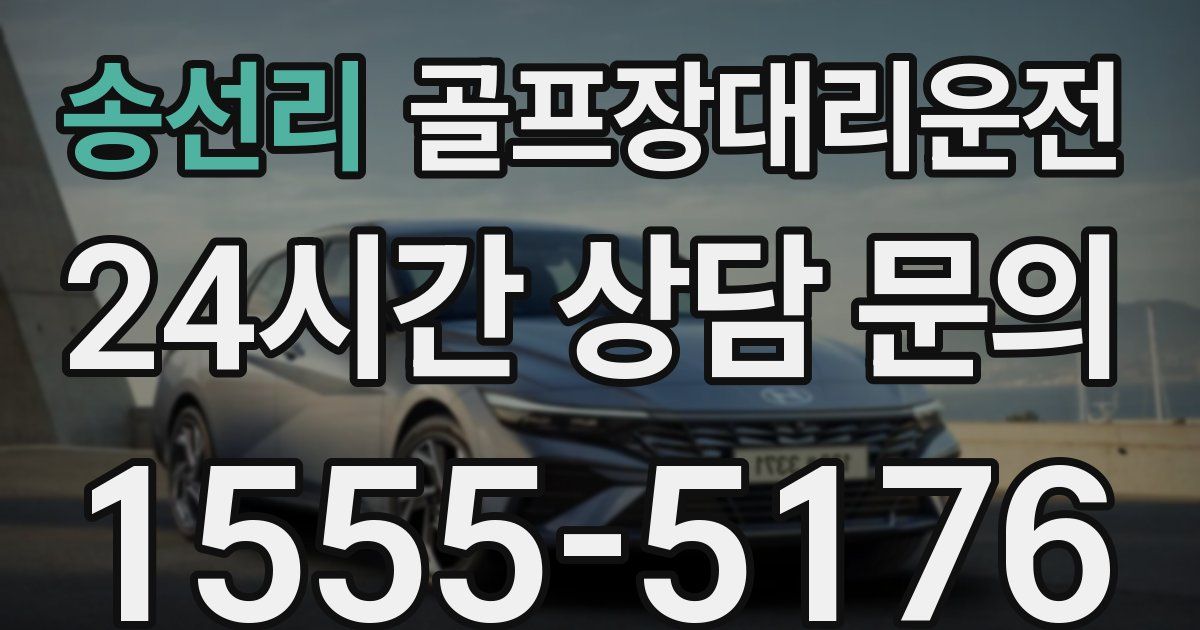 골프장대리운전 서비스