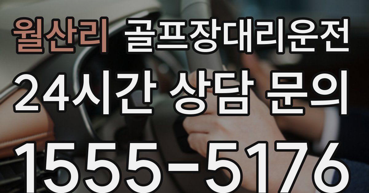 골프장대리운전 서비스