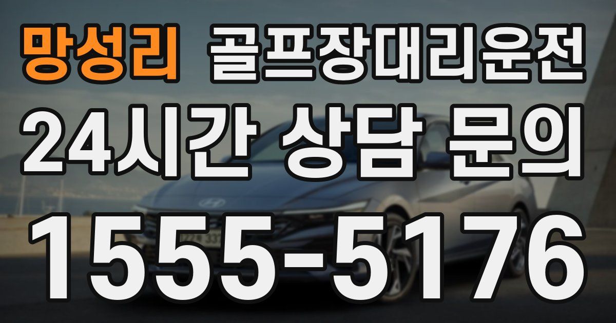 골프장대리운전 서비스