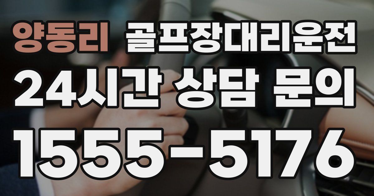 골프장대리운전 서비스