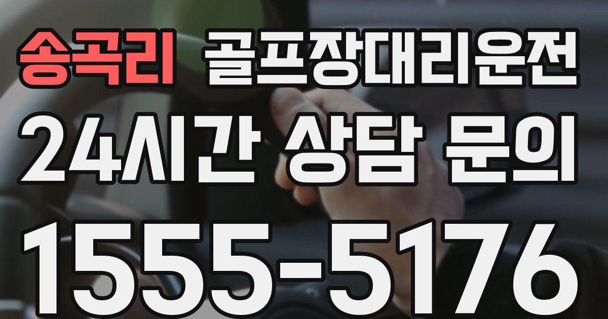 골프장대리운전 서비스
