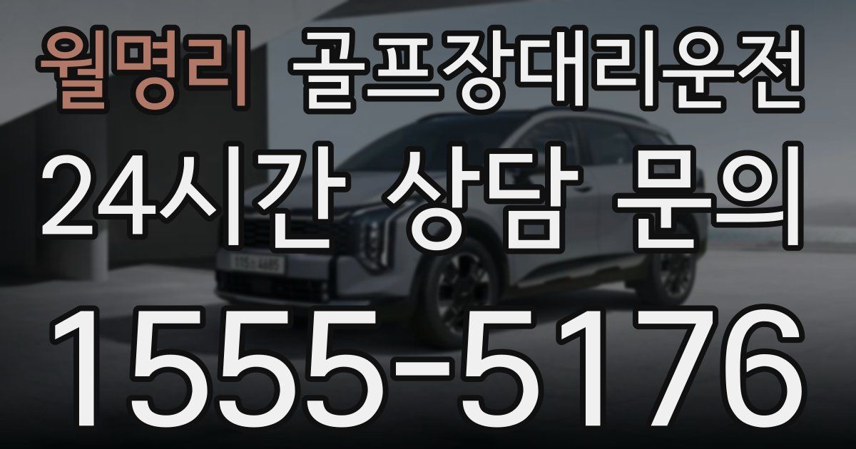 골프장대리운전 서비스