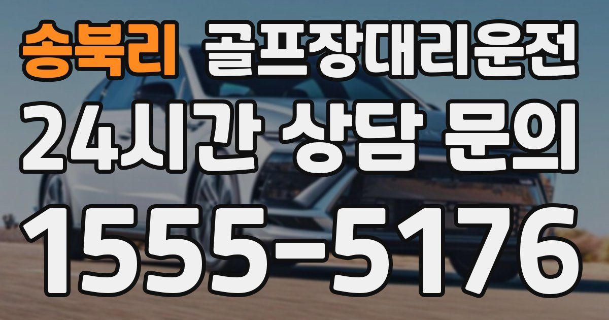 골프장대리운전 서비스