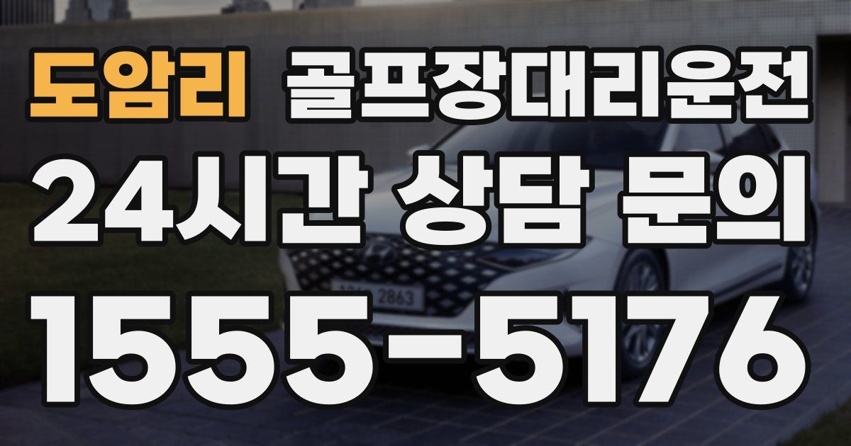 골프장대리운전 서비스
