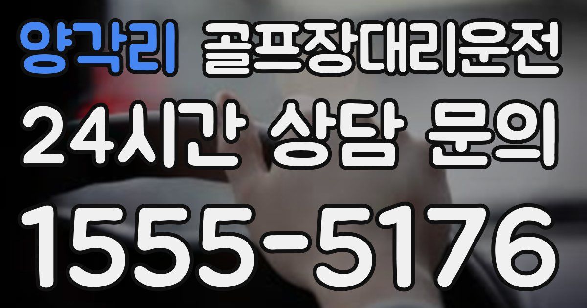 골프장대리운전 서비스