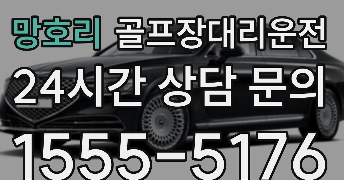 골프장대리운전 서비스