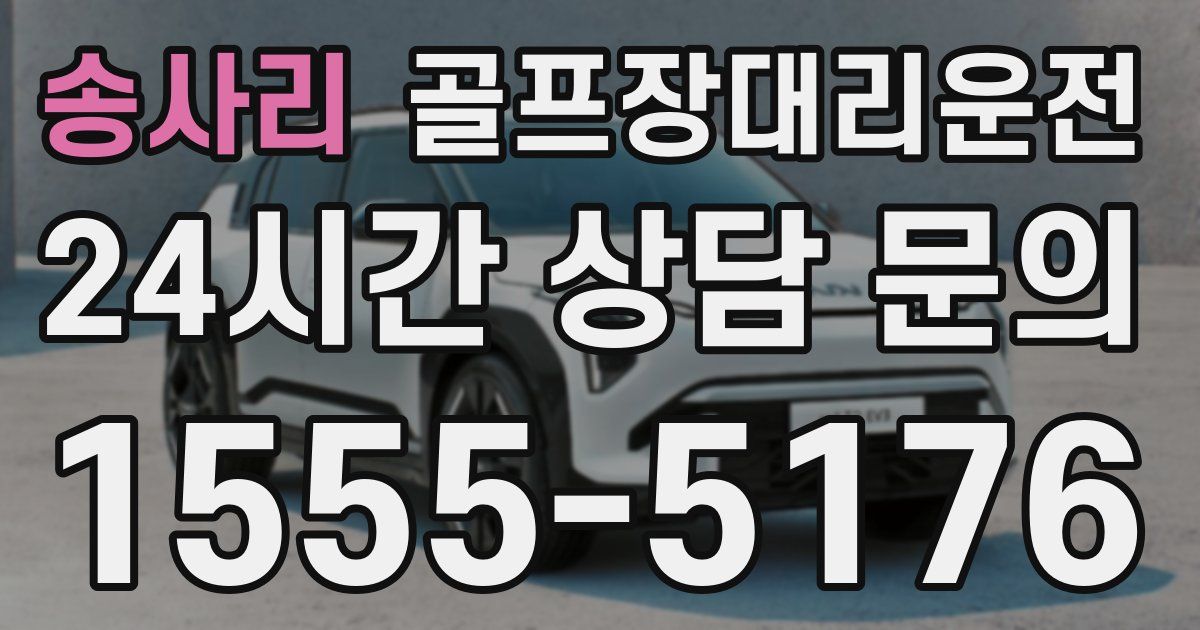 골프장대리운전 서비스