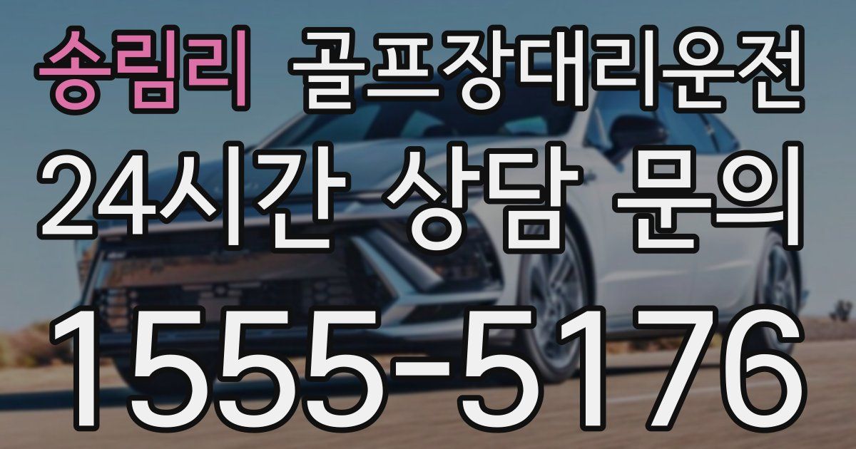 골프장대리운전 서비스