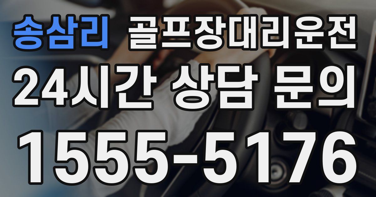 골프장대리운전 서비스