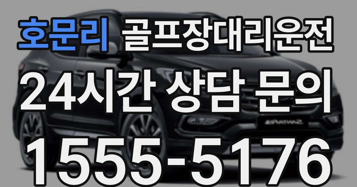 골프장대리운전 서비스