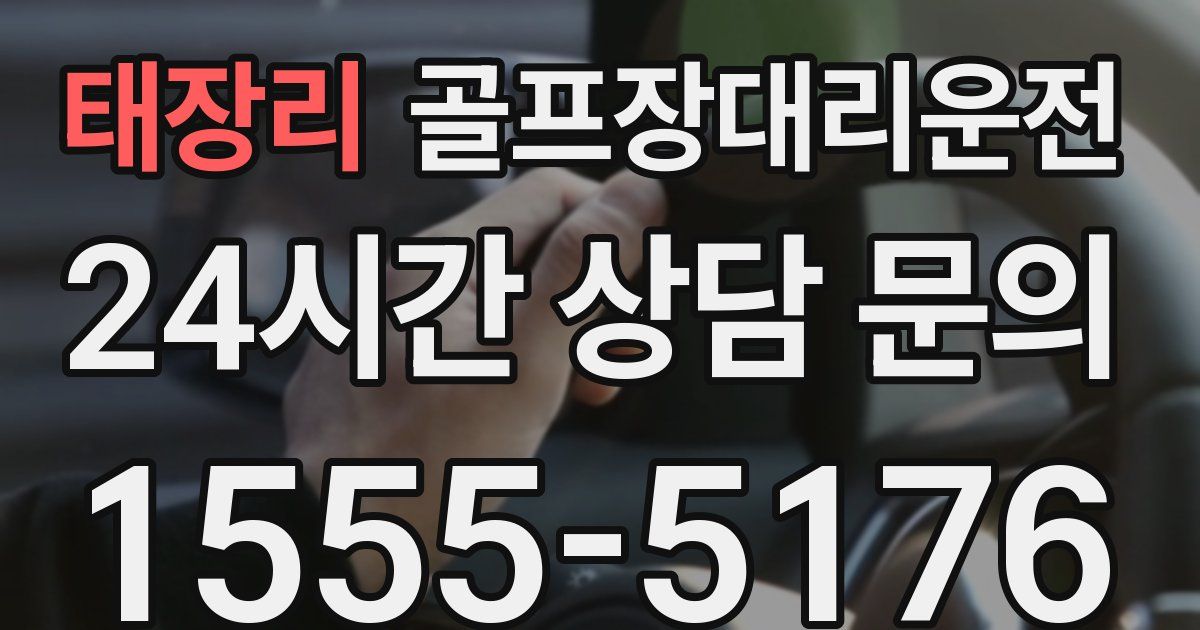 골프장대리운전 서비스