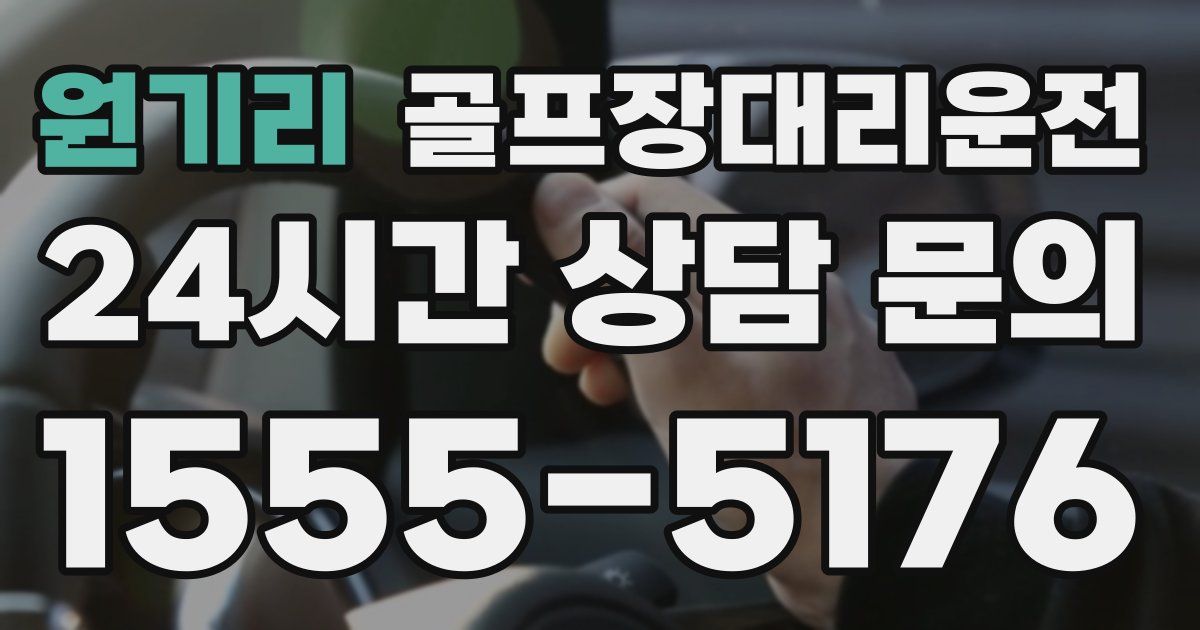 골프장대리운전 서비스