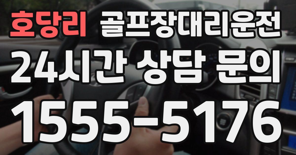 골프장대리운전 서비스