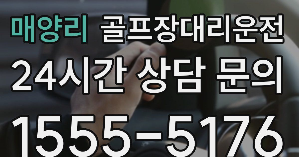 골프장대리운전 서비스
