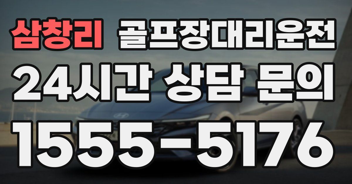 골프장대리운전 서비스
