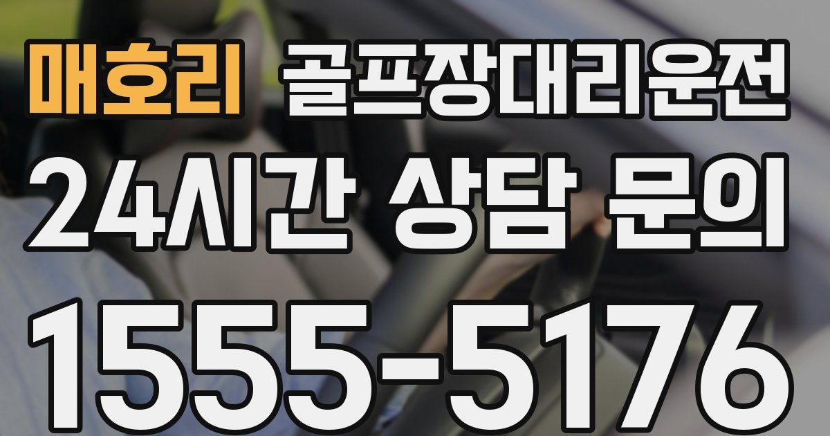 골프장대리운전 서비스