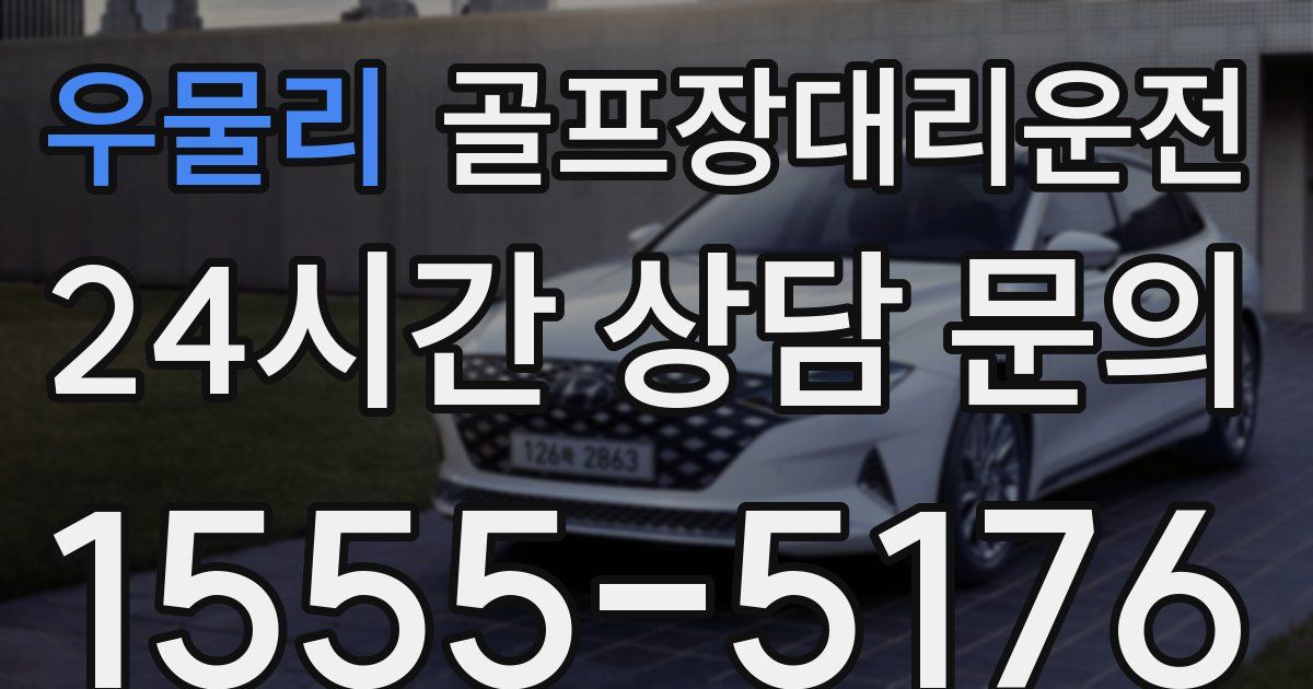 골프장대리운전 서비스