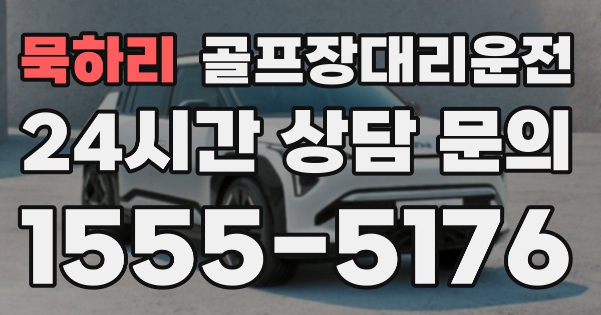 골프장대리운전 서비스