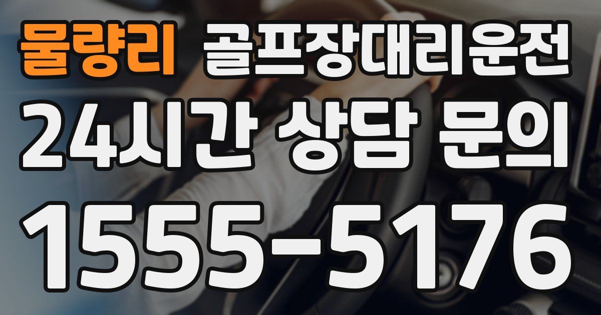 골프장대리운전 서비스