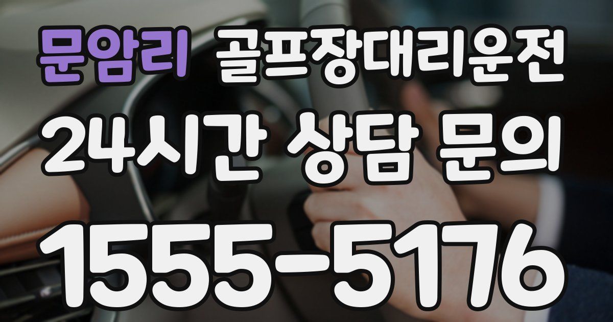골프장대리운전 서비스
