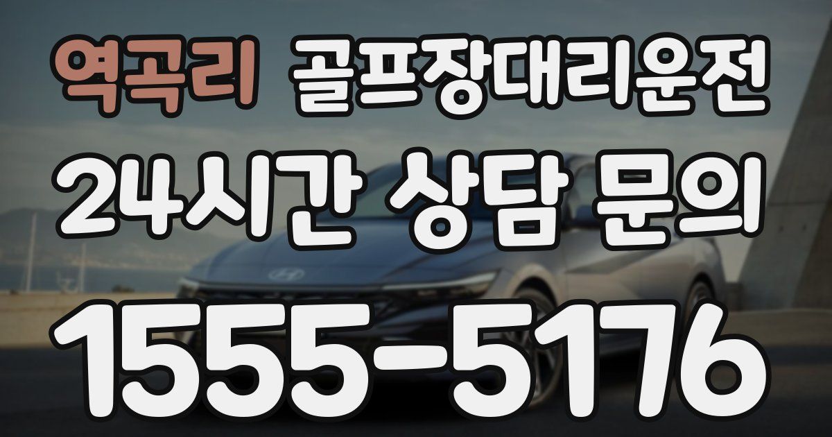골프장대리운전 서비스
