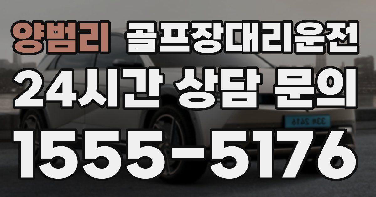 골프장대리운전 서비스