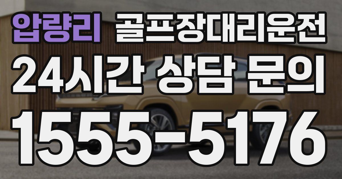 골프장대리운전 서비스