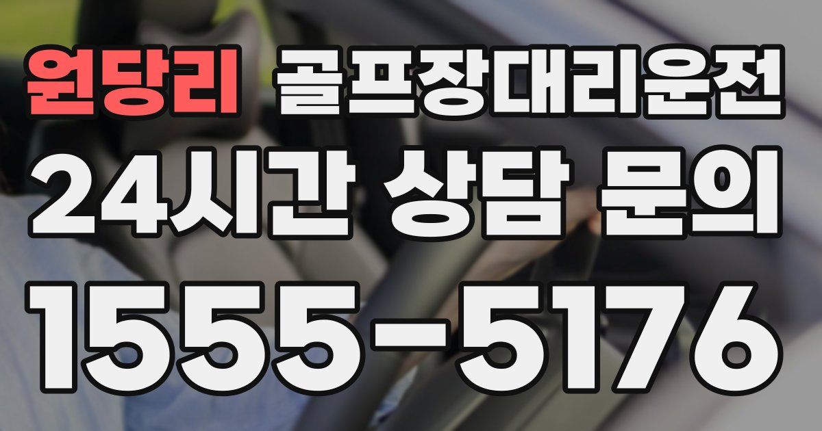 골프장대리운전 서비스