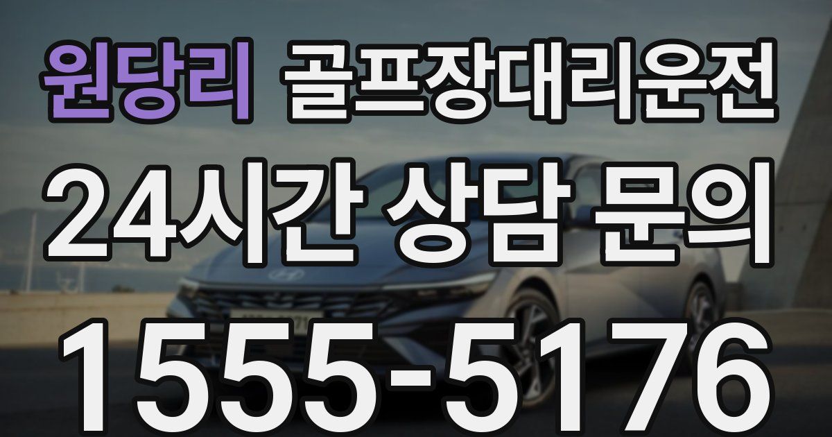 골프장대리운전 서비스