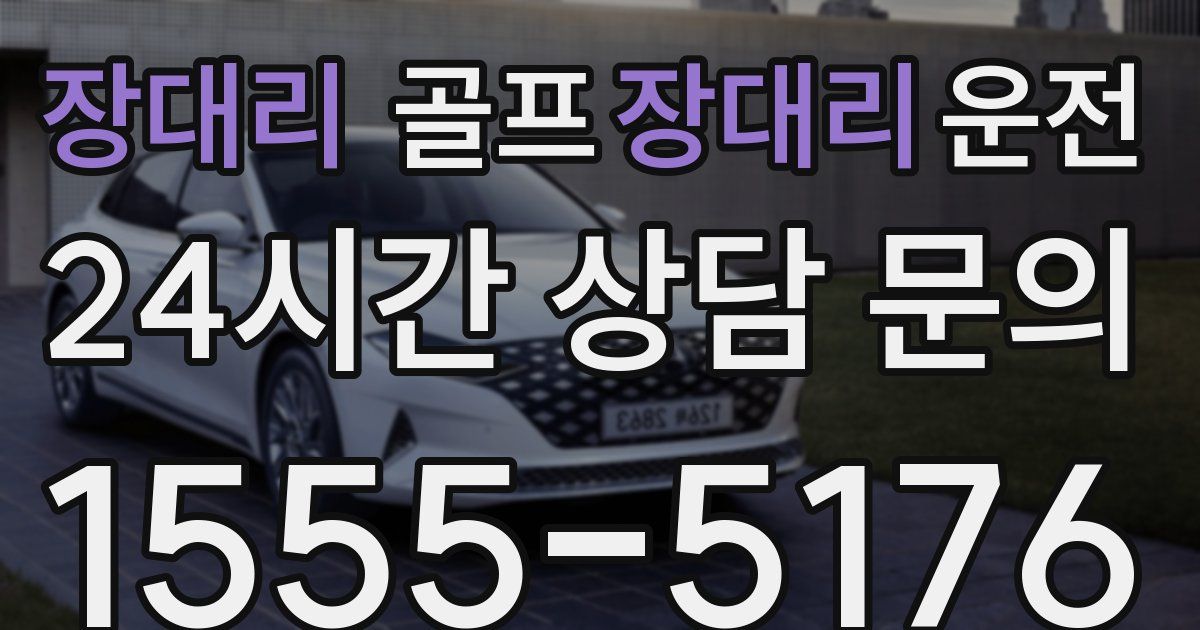 골프장대리운전 서비스