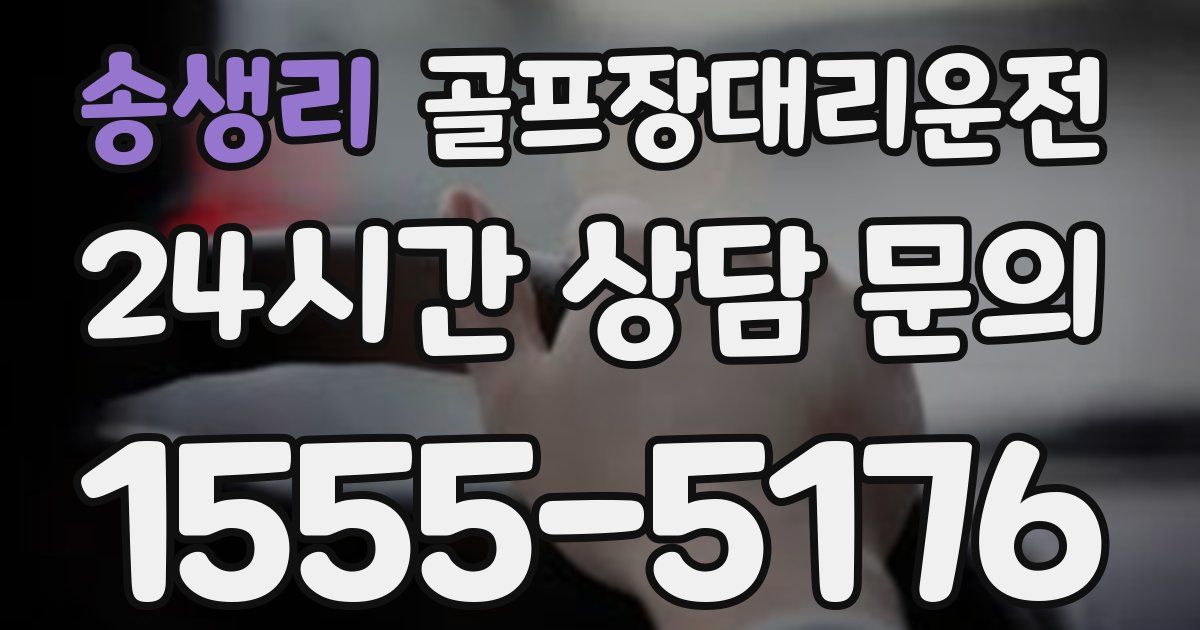 골프장대리운전 서비스