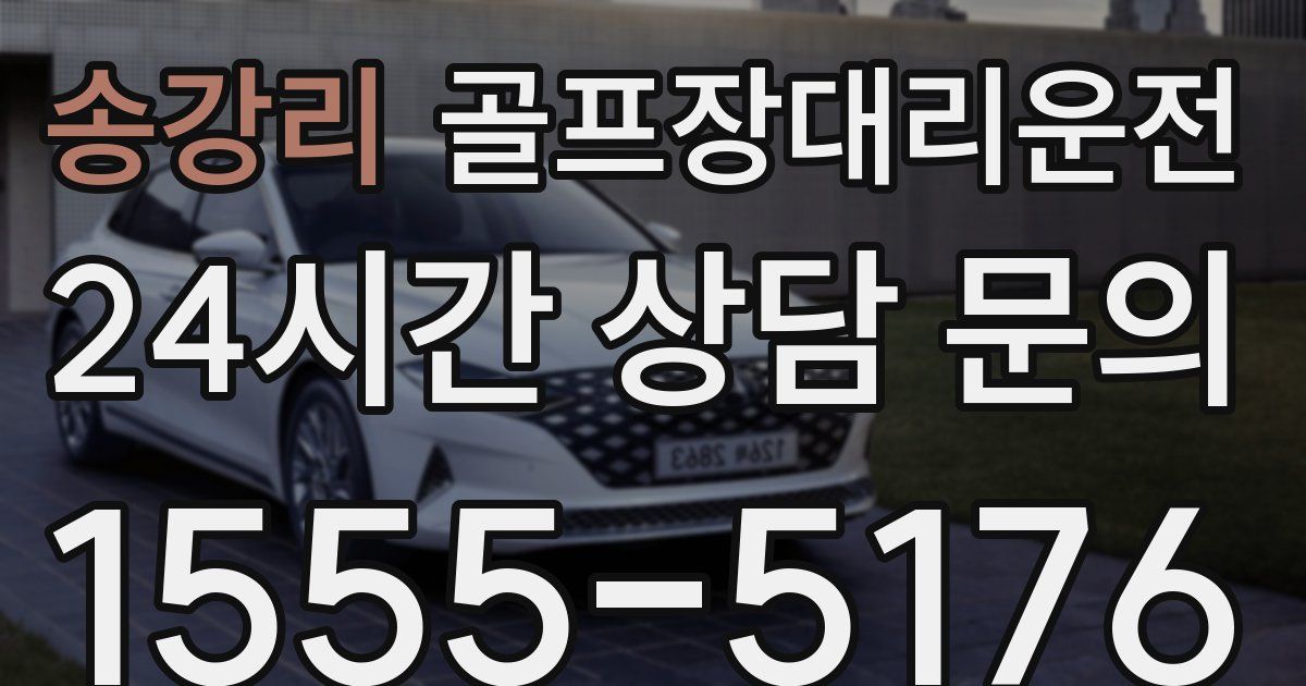 골프장대리운전 서비스