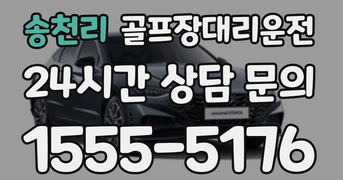 골프장대리운전 서비스