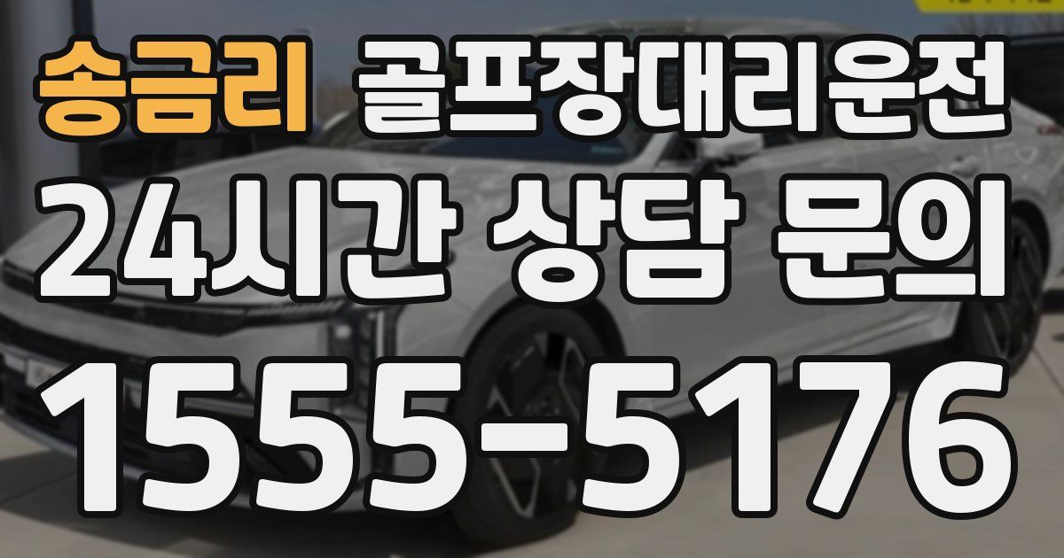 골프장대리운전 서비스