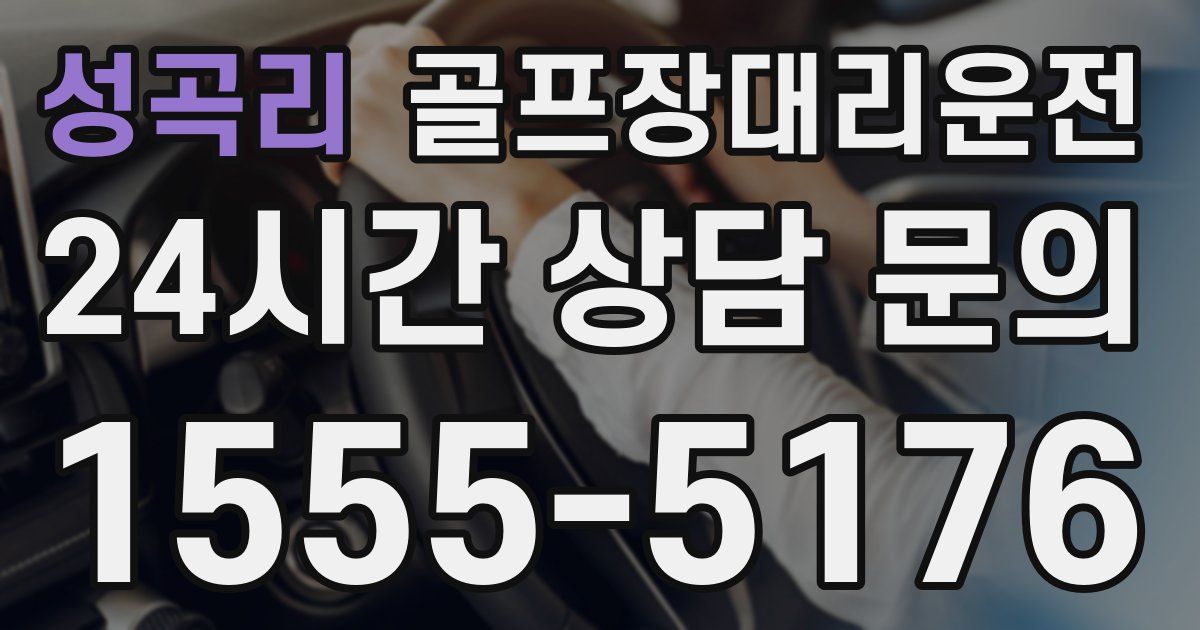 골프장대리운전 서비스