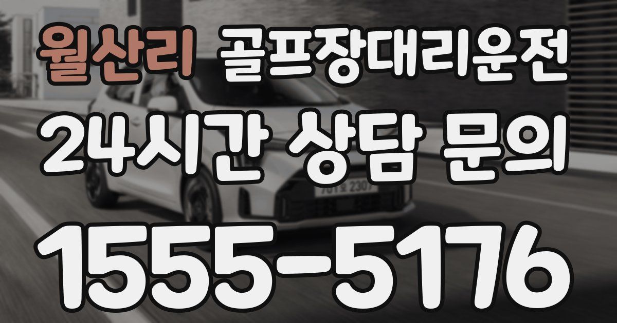 골프장대리운전 서비스