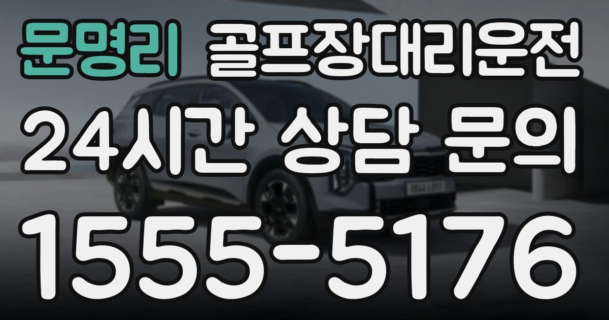 골프장대리운전 서비스