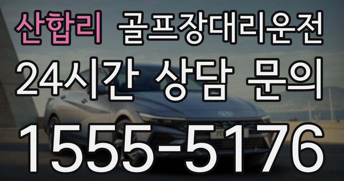 골프장대리운전 서비스